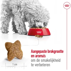 Royal Canin Mini Adult - Hondenvoer