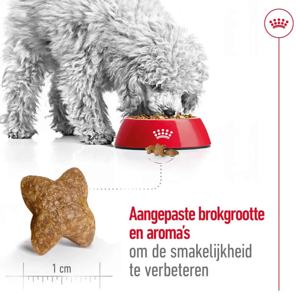 Royal Canin Mini Adult - Hondenvoer