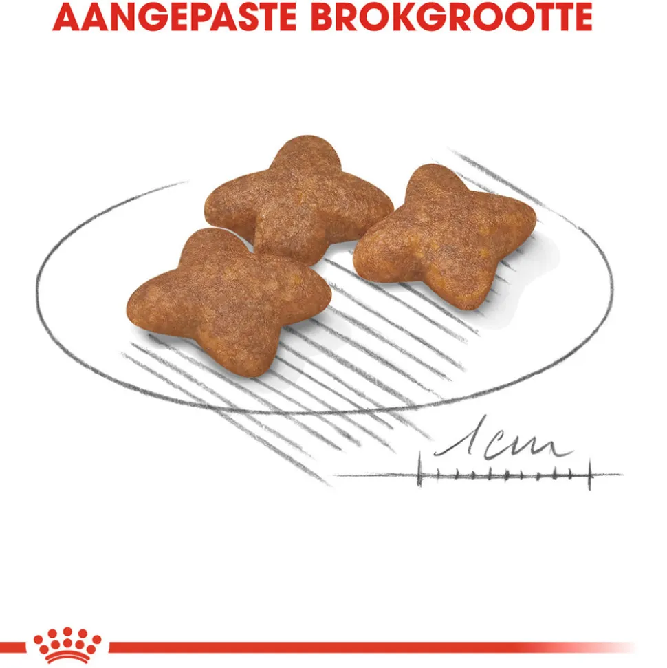 Royal Canin Mini Adult - Hondenvoer