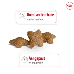 Royal Canin Mini Adult - Hondenvoer