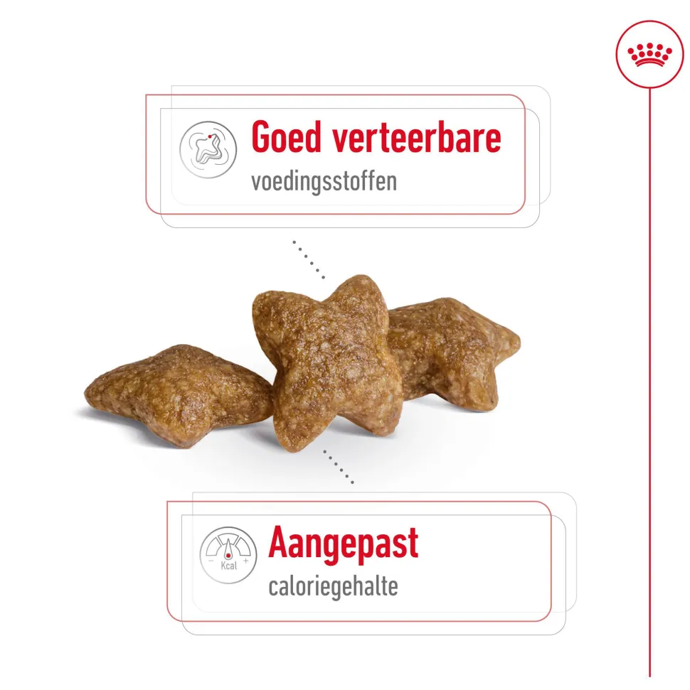 Royal Canin Mini Adult - Hondenvoer