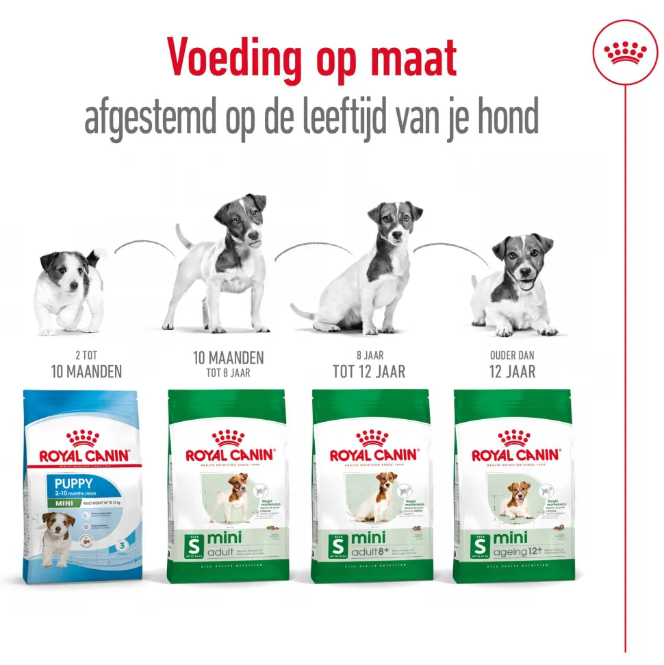 Royal Canin Mini Adult 8+ - Hondenvoer