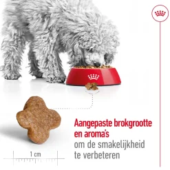 Royal Canin Mini Adult 8+ - Hondenvoer