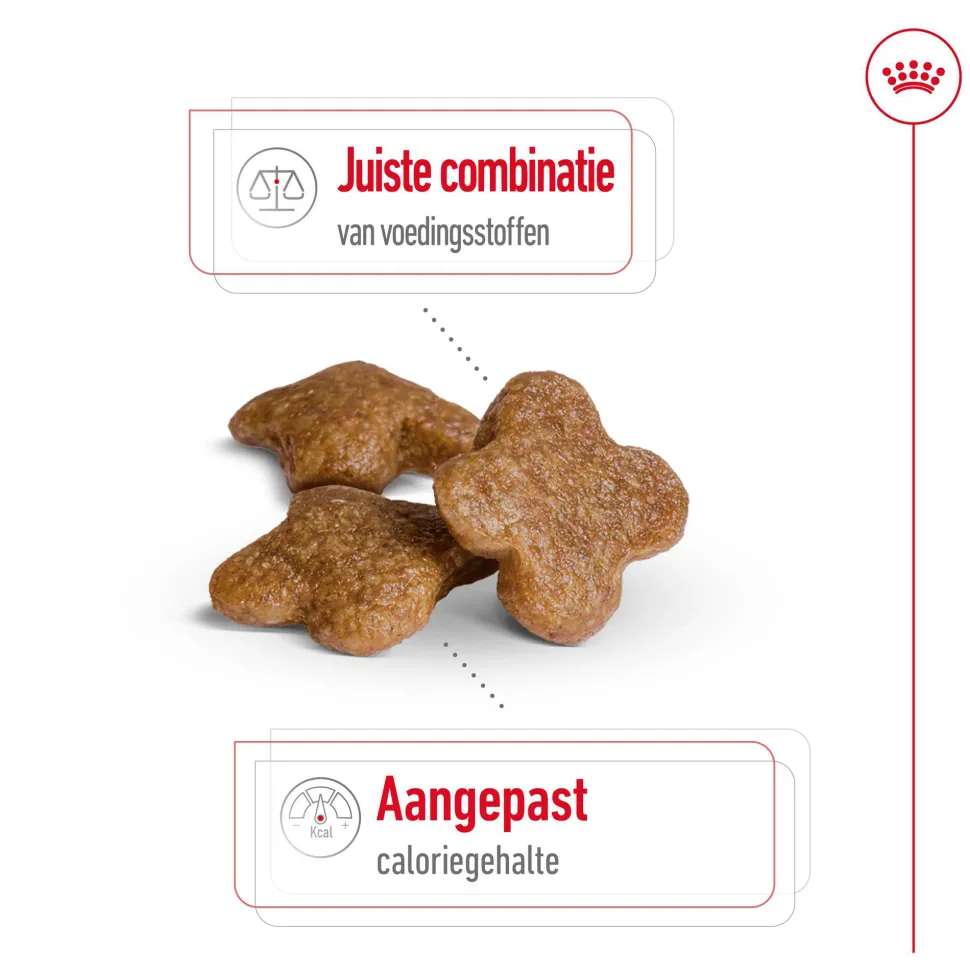 Royal Canin Mini Adult 8+ - Hondenvoer