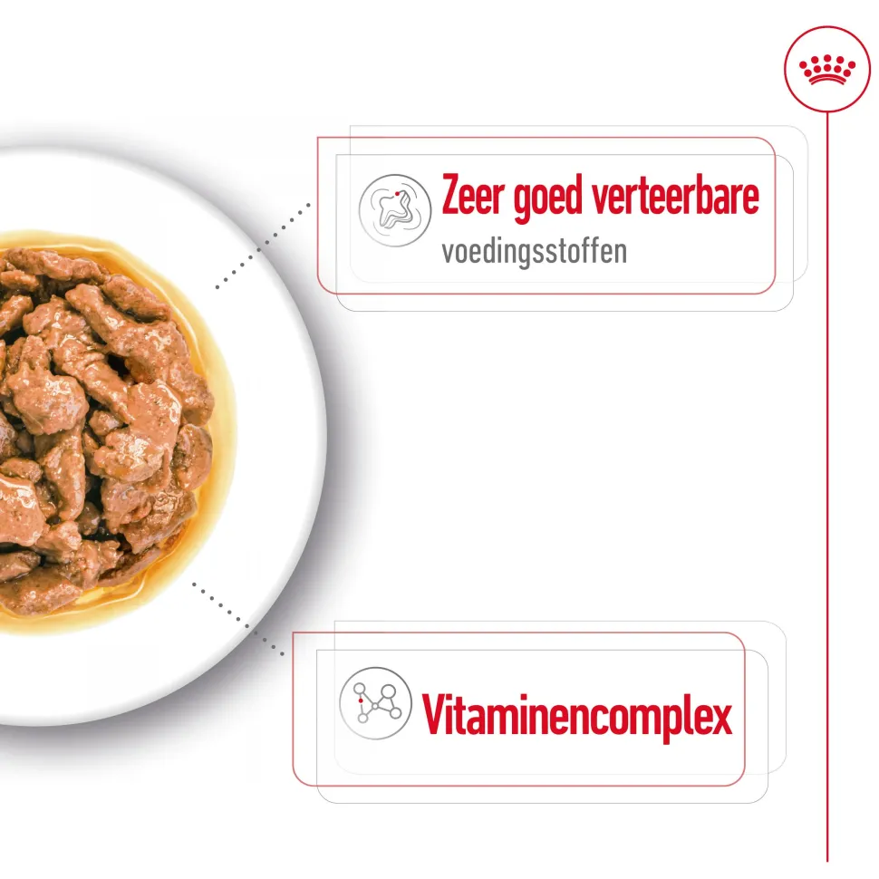 Royal Canin Mini Adult Wet - Hondenvoer