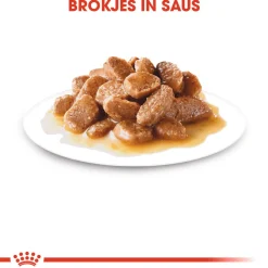 Royal Canin Mini Adult Wet - Hondenvoer