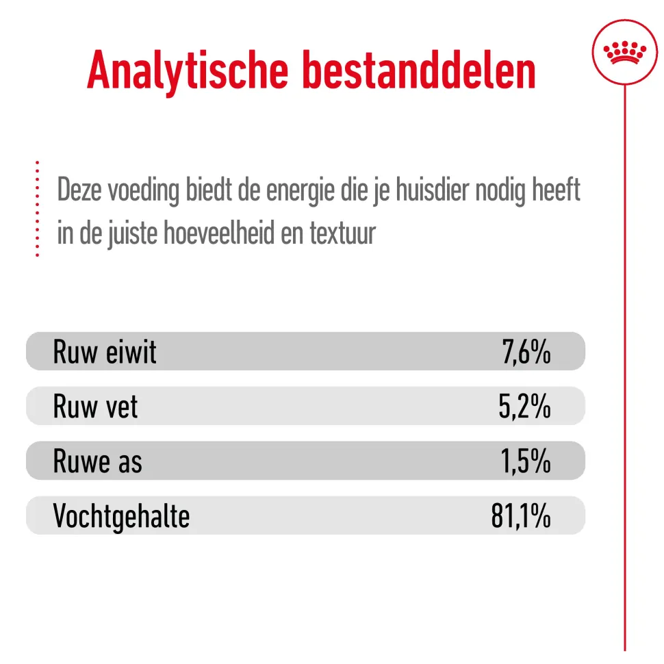 Royal Canin Mini Adult Wet - Hondenvoer