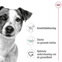Royal Canin Mini Adult Wet - Hondenvoer