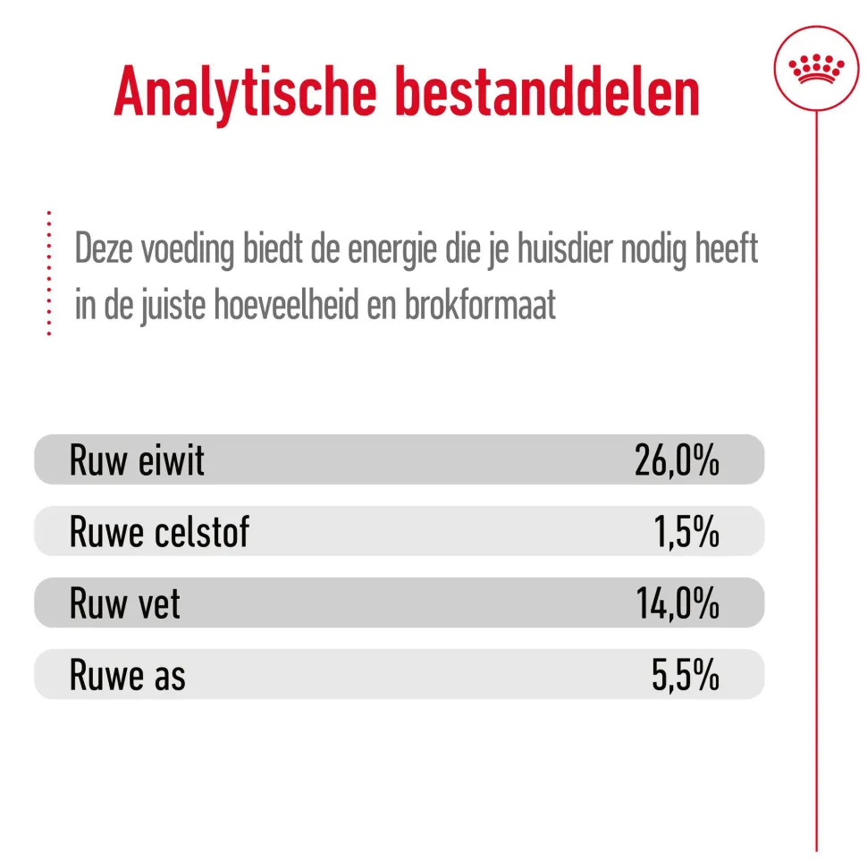 Royal Canin Mini Ageing 12+ - Hondenvoer