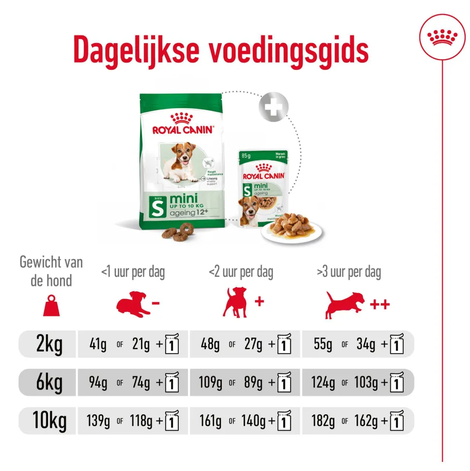 Royal Canin Mini Ageing 12+ - Hondenvoer