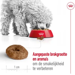 Royal Canin Mini Ageing 12+ - Hondenvoer