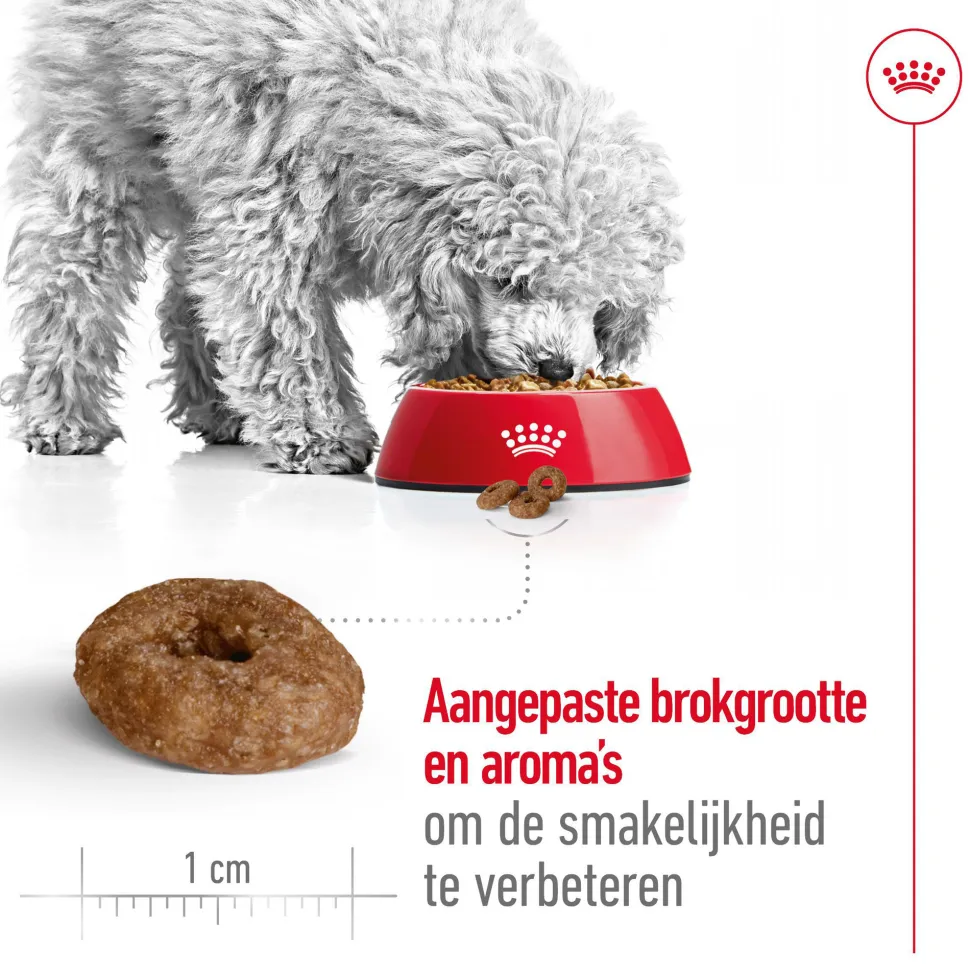 Royal Canin Mini Ageing 12+ - Hondenvoer