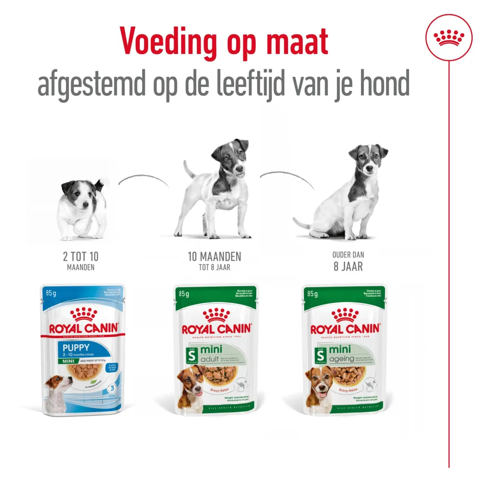 Royal Canin Mini Ageing 8+ Wet - Hondenvoer