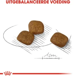 Royal Canin Mini Coat Care - Hondenvoer