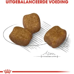 Royal Canin Mini Dental Care - Hondenvoer