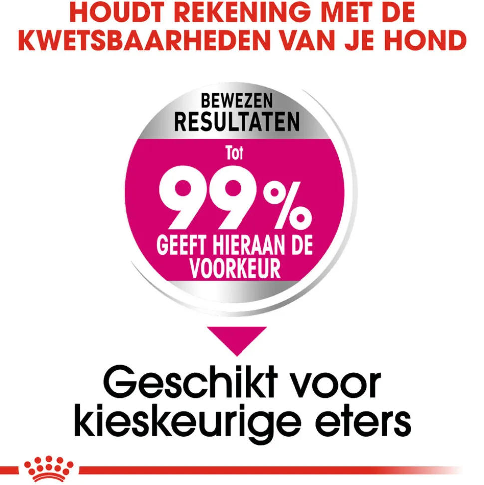 Royal Canin Mini Exigent - Hondenvoer