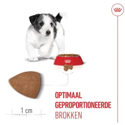 Royal Canin Mini Puppy - Hondenvoer