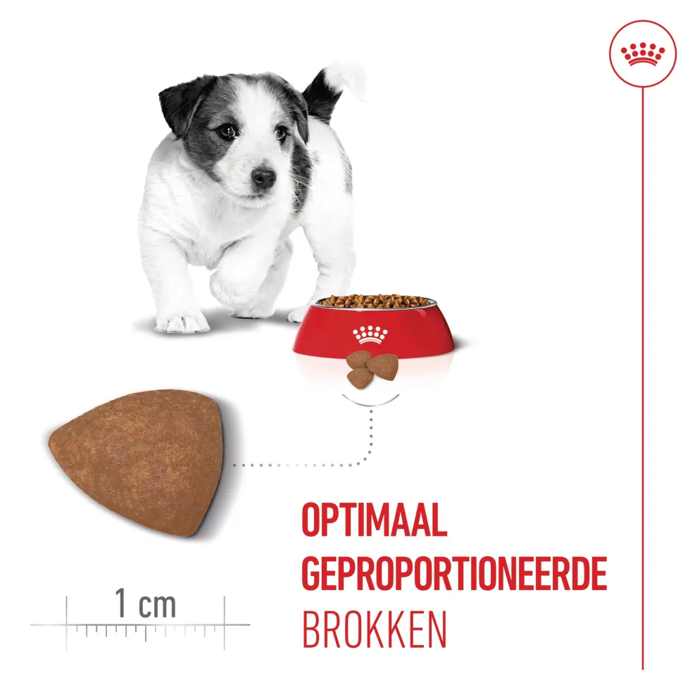 Royal Canin Mini Puppy - Hondenvoer