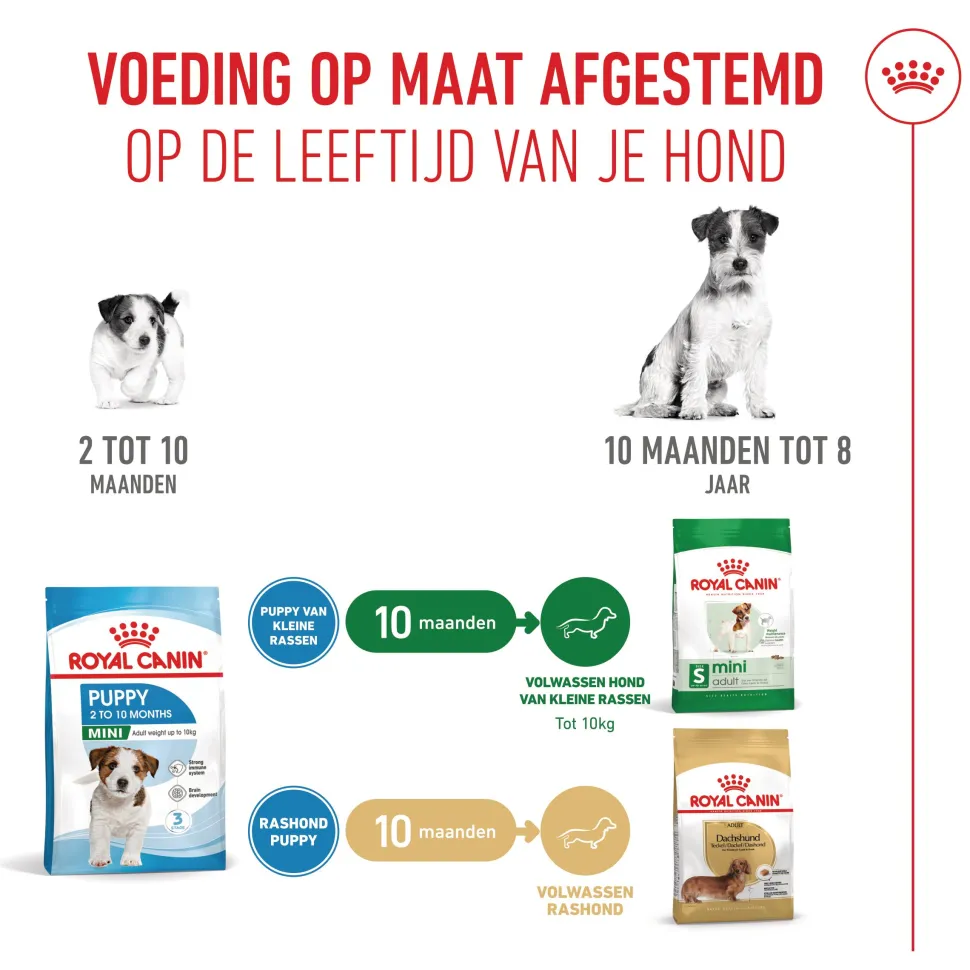 Royal Canin Mini Puppy - Hondenvoer