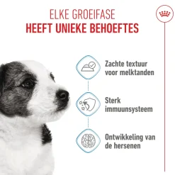 Royal Canin Mini Puppy Wet - Hondenvoer