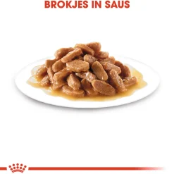 Royal Canin Mini Puppy Wet - Hondenvoer