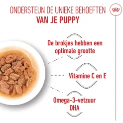 Royal Canin Mini Puppy Wet - Hondenvoer