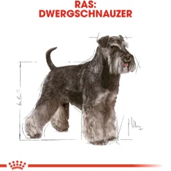 Royal Canin Mini Schnauzer Adult - Hondenvoer