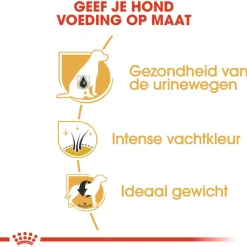 Royal Canin Mini Schnauzer Adult - Hondenvoer