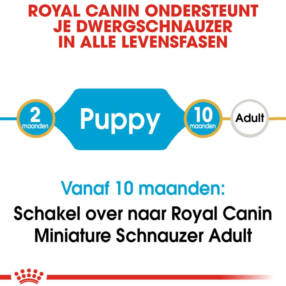 Royal Canin Mini Schnauzer Puppy - Hondenvoer