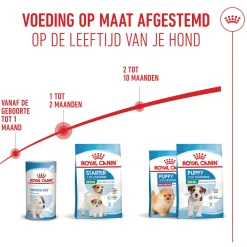 Royal Canin Mini Starter Mother & Babydog - Hondenvoer