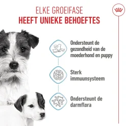 Royal Canin Mini Starter Mother & Babydog - Hondenvoer