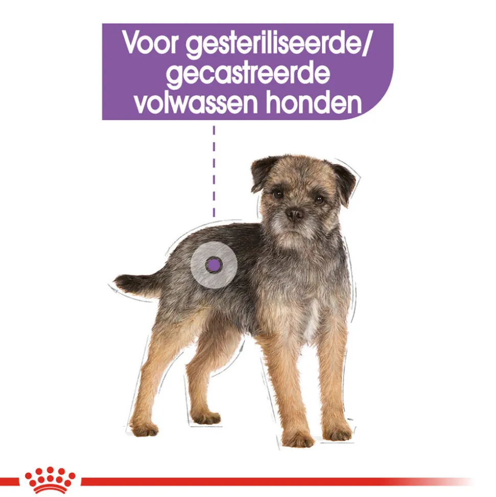 Royal Canin Mini Sterilised - Hondenvoer