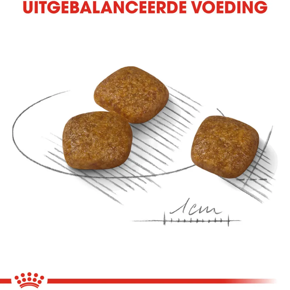 Royal Canin Mini Urinary Care - Hondenvoer