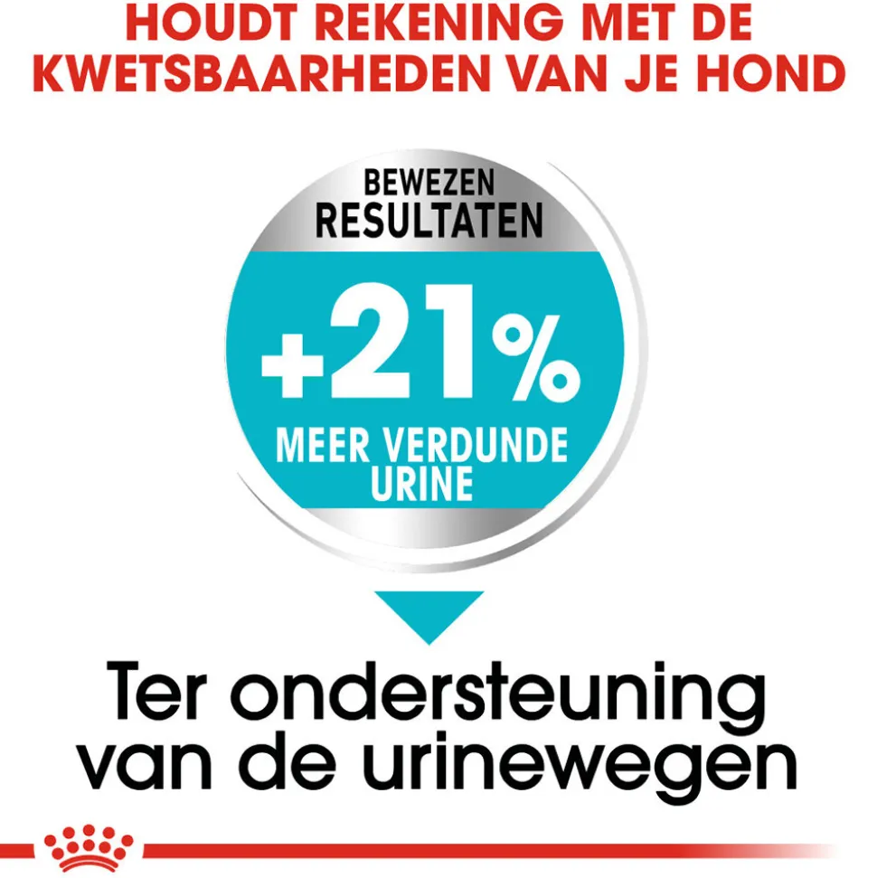 Royal Canin Mini Urinary Care - Hondenvoer