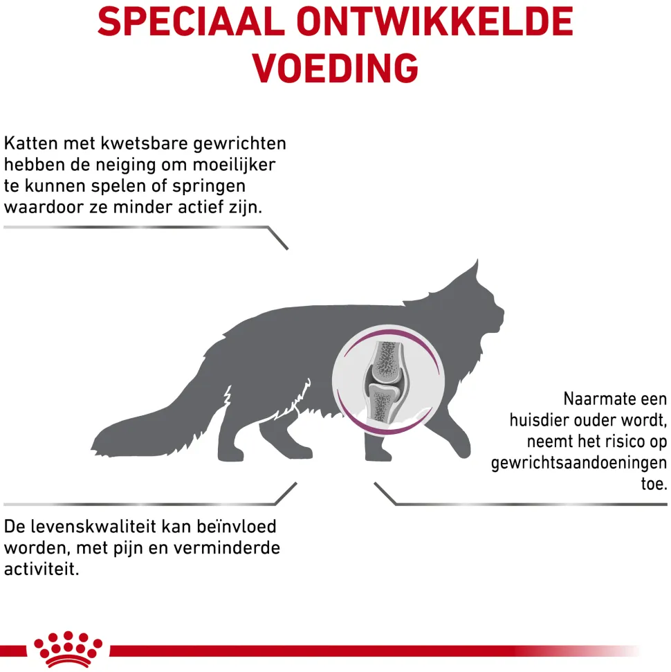 Royal Canin Mobility Kat