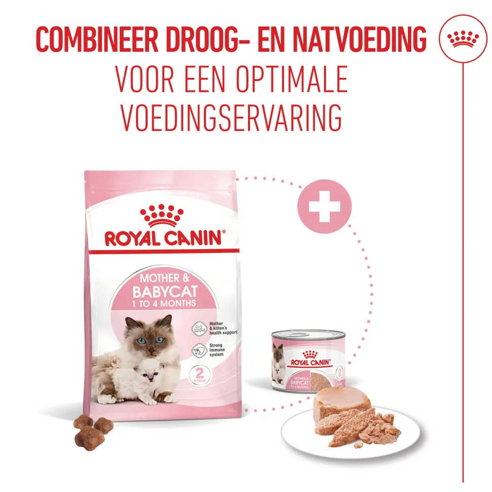 Royal Canin Mother & Babycat - Kattenvoer