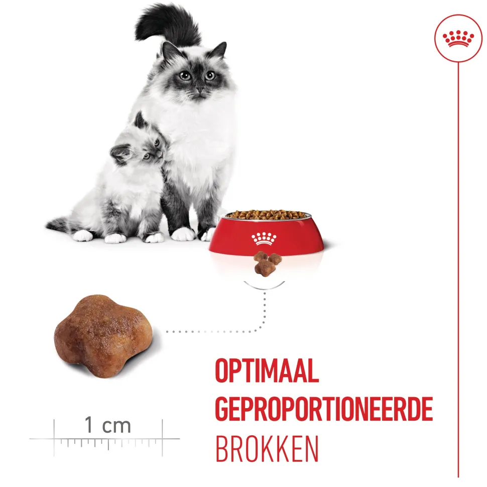Royal Canin Mother & Babycat - Kattenvoer