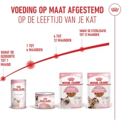 Royal Canin Mother & Babycat Mousse - Kattenvoer