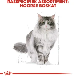Royal Canin Norwegian Forest Cat Adult - Kattenvoer