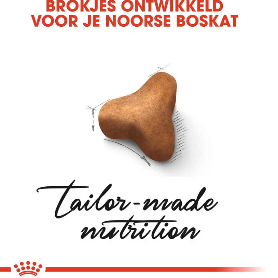 Royal Canin Norwegian Forest Cat Adult - Kattenvoer
