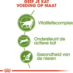 Royal Canin Outdoor 7+ - Kattenvoer