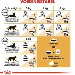 Royal Canin Persian Adult - Kattenvoer