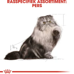 Royal Canin Persian Adult Wet - Kattenvoer