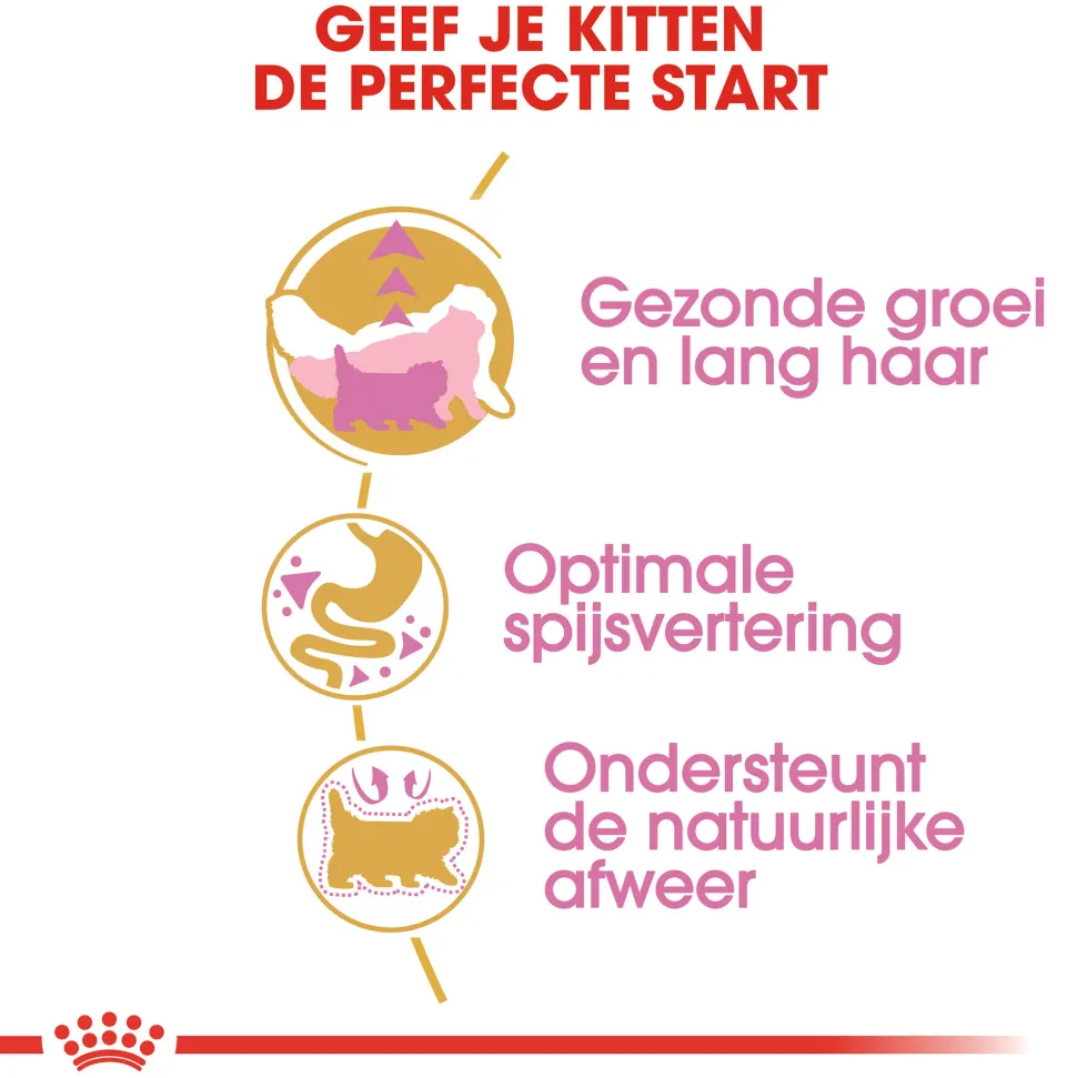 Royal Canin Persian Kitten - Kattenvoer