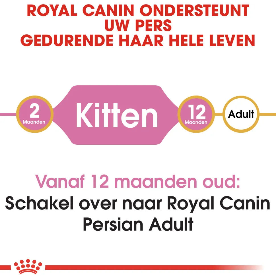 Royal Canin Persian Kitten - Kattenvoer