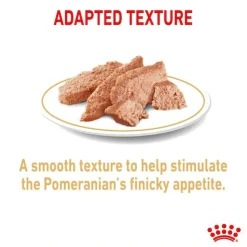 Royal Canin Pomeranian Adult Wet - Hondenvoer