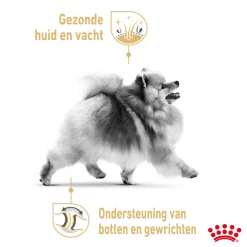 Royal Canin Pomeranian Adult Wet - Hondenvoer