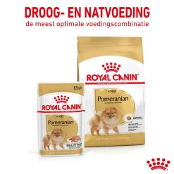 Royal Canin Pomeranian Adult Wet - Hondenvoer