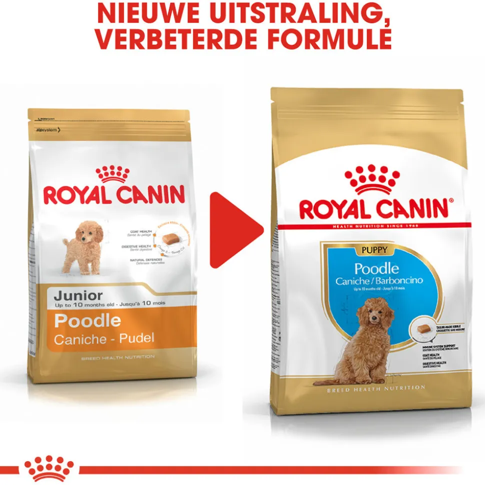 Royal Canin Poodle Puppy - Hondenvoer