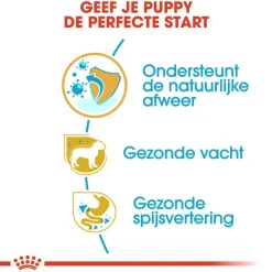 Royal Canin Poodle Puppy - Hondenvoer